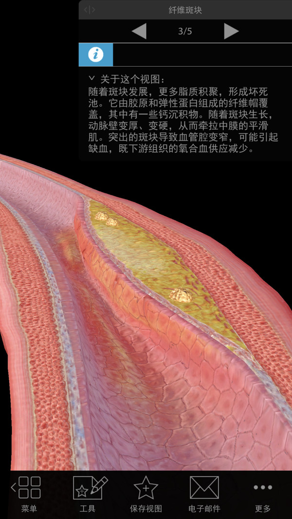 生理和病理学