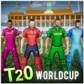 板球世界杯T20澳大利亚2020比赛
