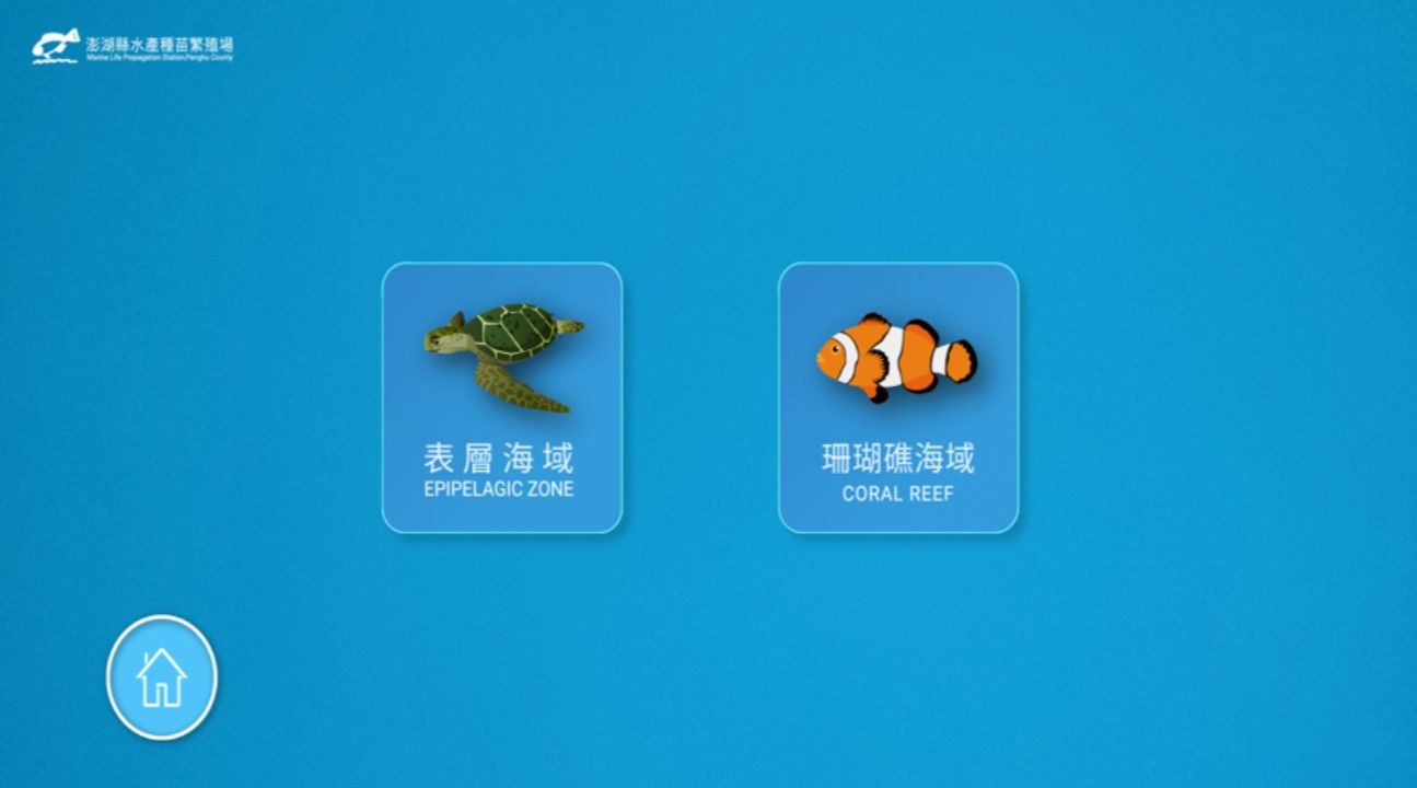 海洋生物拍照趣