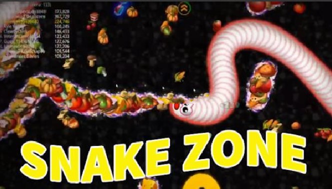 Snake Zone