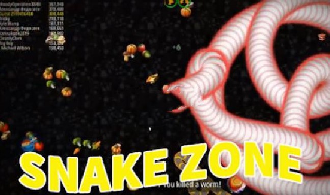 Snake Zone