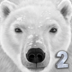 Polar Bear2