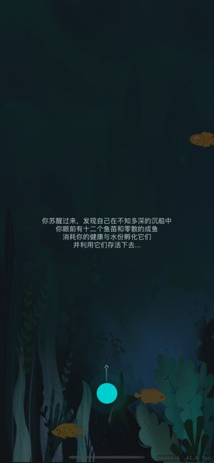 沉船与鱼