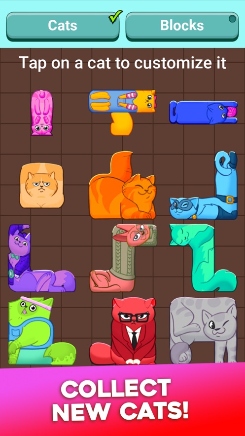 Puzzle Cats