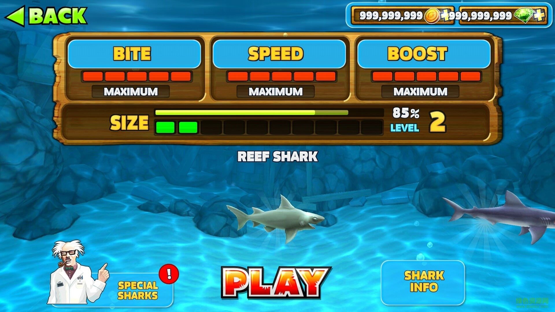 饥饿鲨进化怪兽鲨